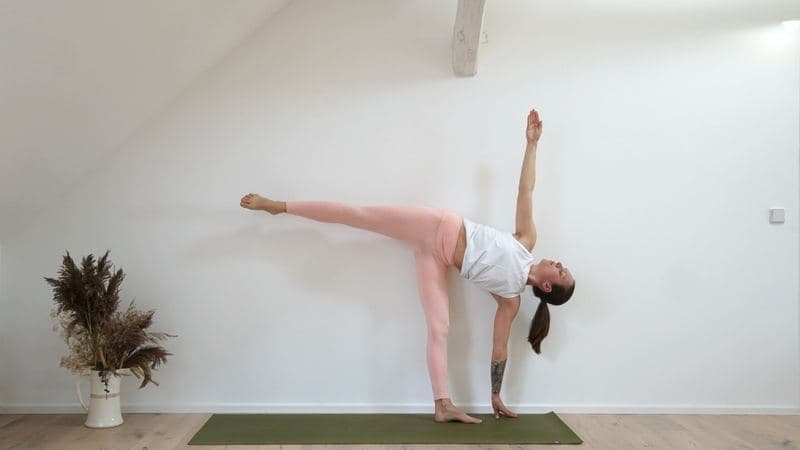 Half Moon Pose