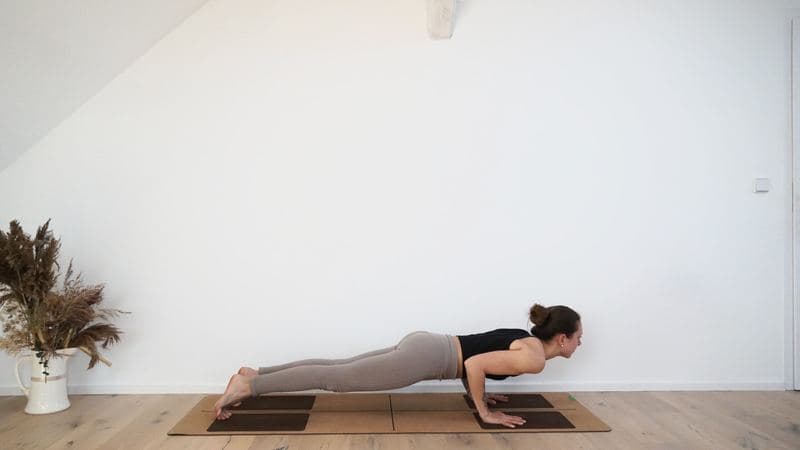 Four-Limbed Staff Pose