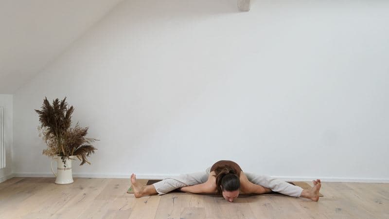 Tortoise Pose
