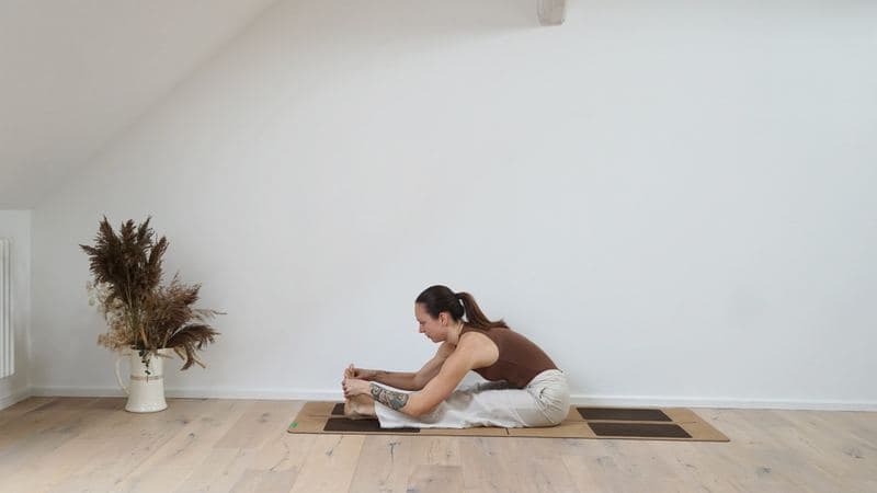 Seated Forward Bend
