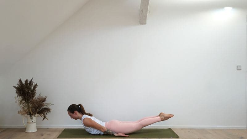 Locust Pose