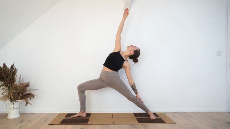 Peaceful Warrior