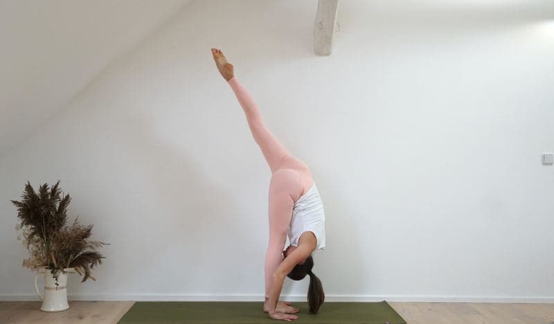 Standing Split