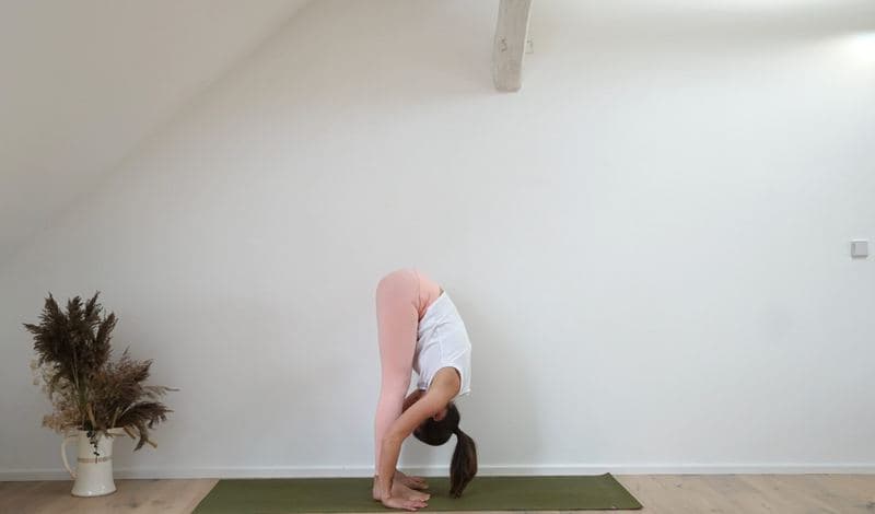 Standing Forward Bend