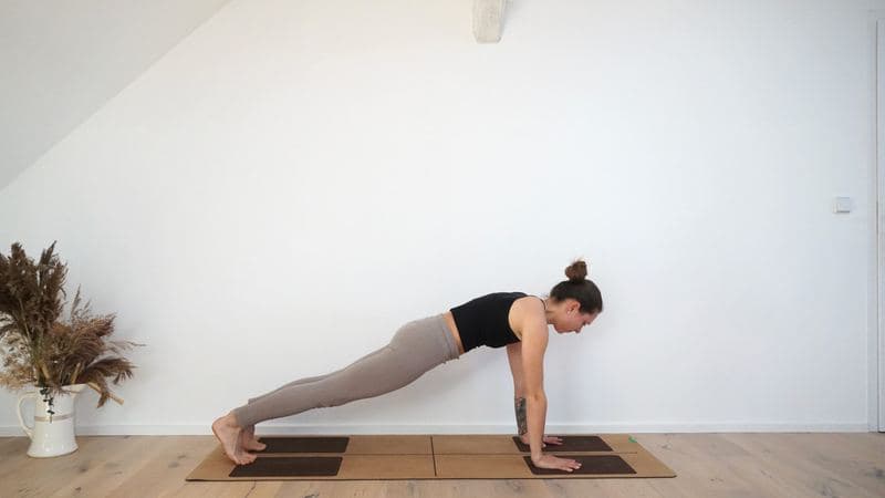 Plank Pose