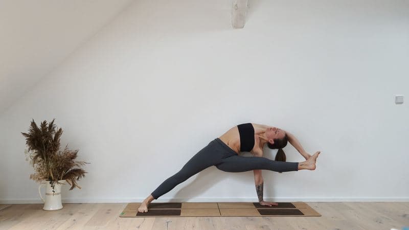 Visvamitra's Pose