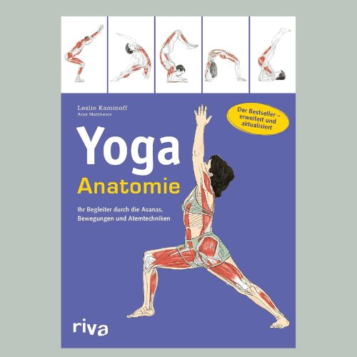 Yoga-Anatomie